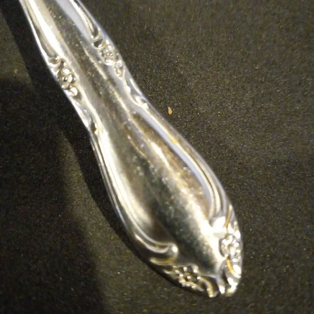 Oneida Stainless Steel Plantation Custom Teaspoon-Lot of 4-Flowers-Discontinued